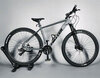 Велосипед алюминиевый горный TWITTER MTB RIDER (QR) 29 M315-24S