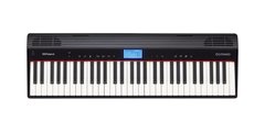 Roland GO-61P