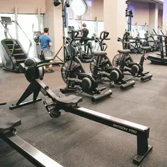 Гребной тренажер коммерческий BRONZE GYM RW1100M PRO