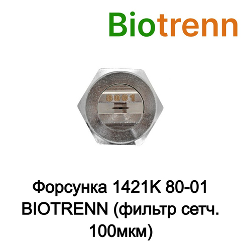 Форсунка 1421K 80-01 BIOTRENN (фильтр сетч. 100мкм) N90100ST