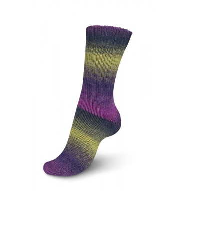 Regia Virtuoso Color 3070