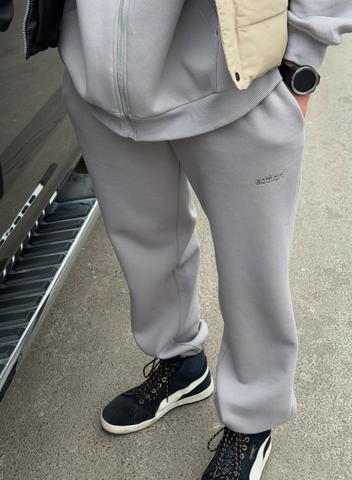 Джоггеры "Silver"