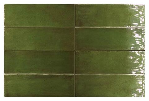 Equipe Fango Green Gloss 5x15