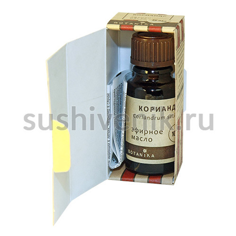 Coriandrum sativum - 5