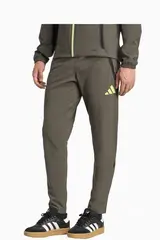 Штаны adidas Real Madrid 25/26 Competition Vis Tech Travel - зеленый