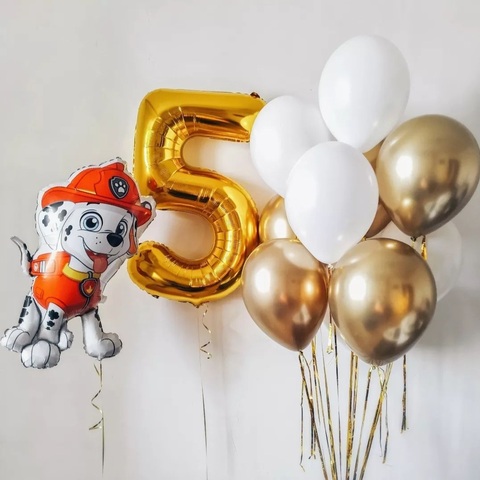 Шары Маршал щенячий патруль 5 лет новосибирск | Wonderball-project.ru