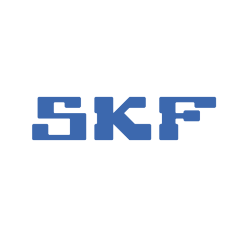 SKF LGEM 2