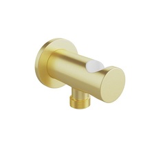 Aqueduto Aceno ACE1250 Шланговое подключение с держателем ручного душа, цвет: шлифованное золото фото