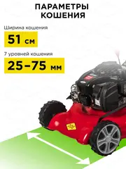 Газонокосилка бензиновая DDE LM 51-60 DB ( 