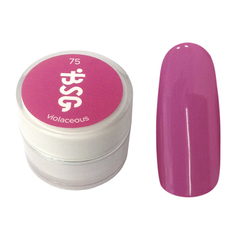 Цветной биогель Bio Stretch Gel Violaceous №75 Цветной биогель Bio Stretch Gel Violaceous №75