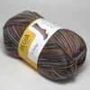 Пряжа 4-fadig Color Schachenmayr Regia