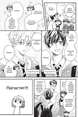 Мои соседи — котики