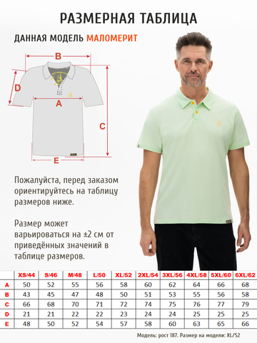 Поло мятного цвета мужское