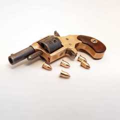 Miniature Colt Clover