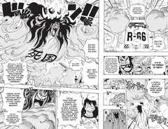 One Piece. Большой куш. Книга 24