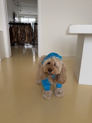 ТОЛСТОВКА 