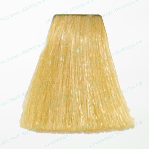 Goldwell Topchic 9G светло-русый золотистый TC 250ml