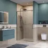 BelBagno SOFT_CLOSE-1-BF-1-120-C-GM Душевая дверь