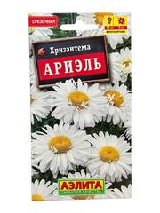 Хризантема Ариэль (Аэлита)