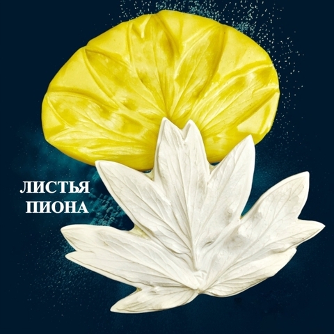 Молд пластиковый+Вайнер силиконовый 