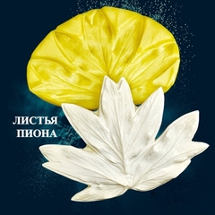 Молд пластиковый+Вайнер силиконовый 