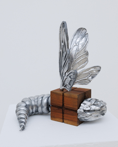 Wood Body Bug #10 из серии «Паранормальные явления»