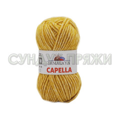CAPELLA Himalaya 31