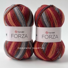 YarnArt Forza 2503