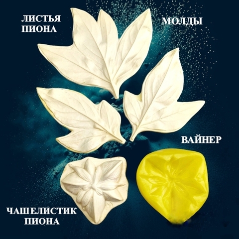 Молд пластиковый + Вайнер силиконовый 