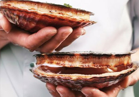 Морской гребешок живой, шт
