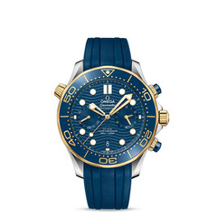 Omega 21022445103001