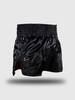 Шорты тайские Venum Inferno 2.0 Black/Grey