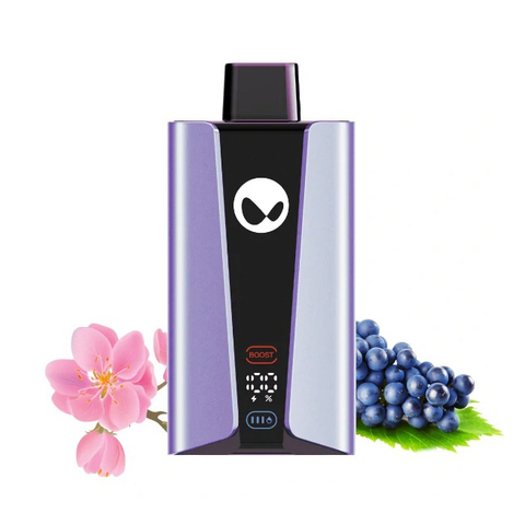 WAKA soPro 20000 Сакура Виноград - Sakura Grape