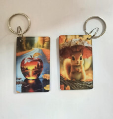 Миникарта RFID прокси 3*5 Бельчонок  14424
