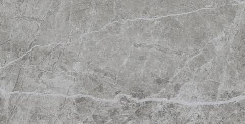 Pamesa Stone Grey 60x120