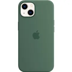 Силиконовый чехол с поддержкой MagSafe Apple Silicone Case для iPhone 13, Eucalyptus (Эвкалипт)
