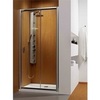 Radaway Premium Plus DWJ 33313-01-08N Дверь душевая в нишу раздвижная 121,5х190 см