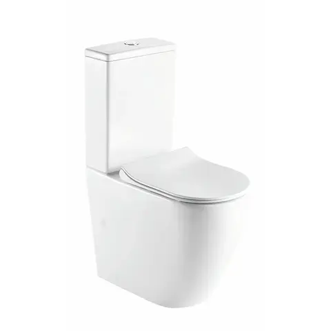 Унитаз компакт Saniteco SW-89D белый 660х355х850