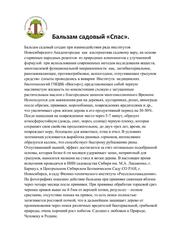 Садовый бальзам Спас, для обработки деревьев, 0,5 л