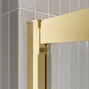 BelBagno LUCE-BF-1-100-C-ORO Душевая дверь