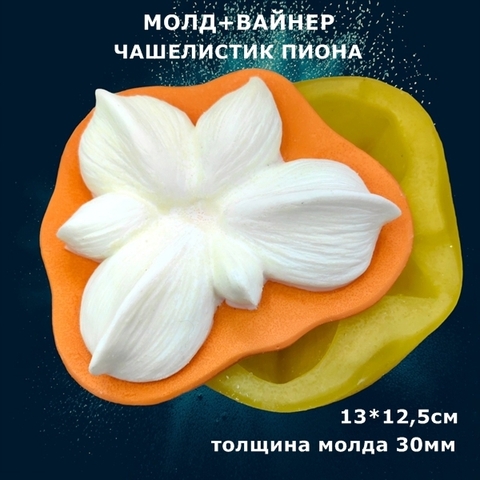 Молд пластиковый+Вайнер силиконовый 