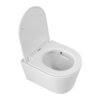 Cezares CZR-3808-53-TH-TOR/SC Унитаз подвесной безободковый с сиденьем, цвет: белый