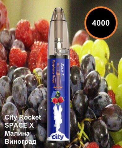 City Rocket Space X - Малина Виноград
