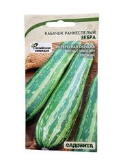 Кабачок Зебра (Садовита)
