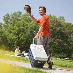 Купить Термоэлектрический автохолодильник Mobicool W40 от производителя недорого.