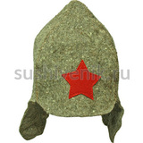 Буденовка серая - 1