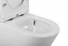 BelBagno Flay-R BB2149CP-TOR Чаша унитаза безободкового, с системой смыва "Торнадо", цвет: белый