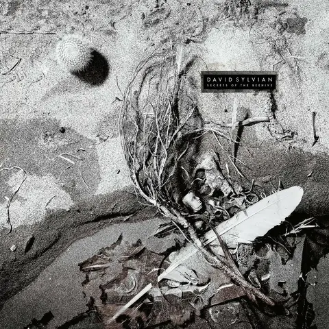 Виниловая пластинка. David Sylvian – Secrets Of The Beehive