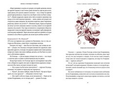 Мифы и легенды Румынии