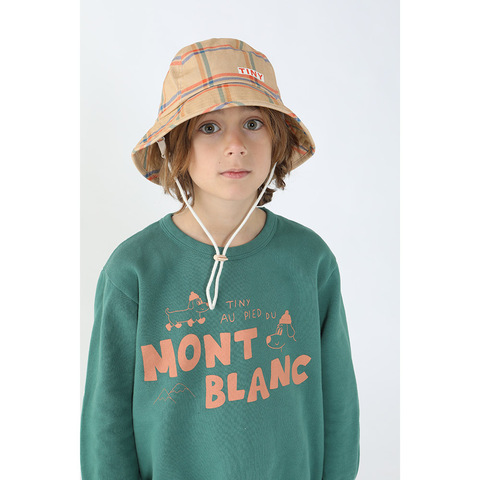 Свитшот Tinycottons Mont Blanc Green